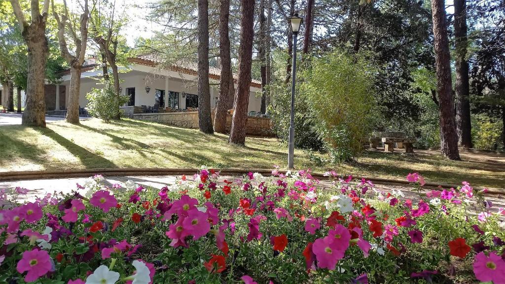 Hotel Balneario de Retortillo 4