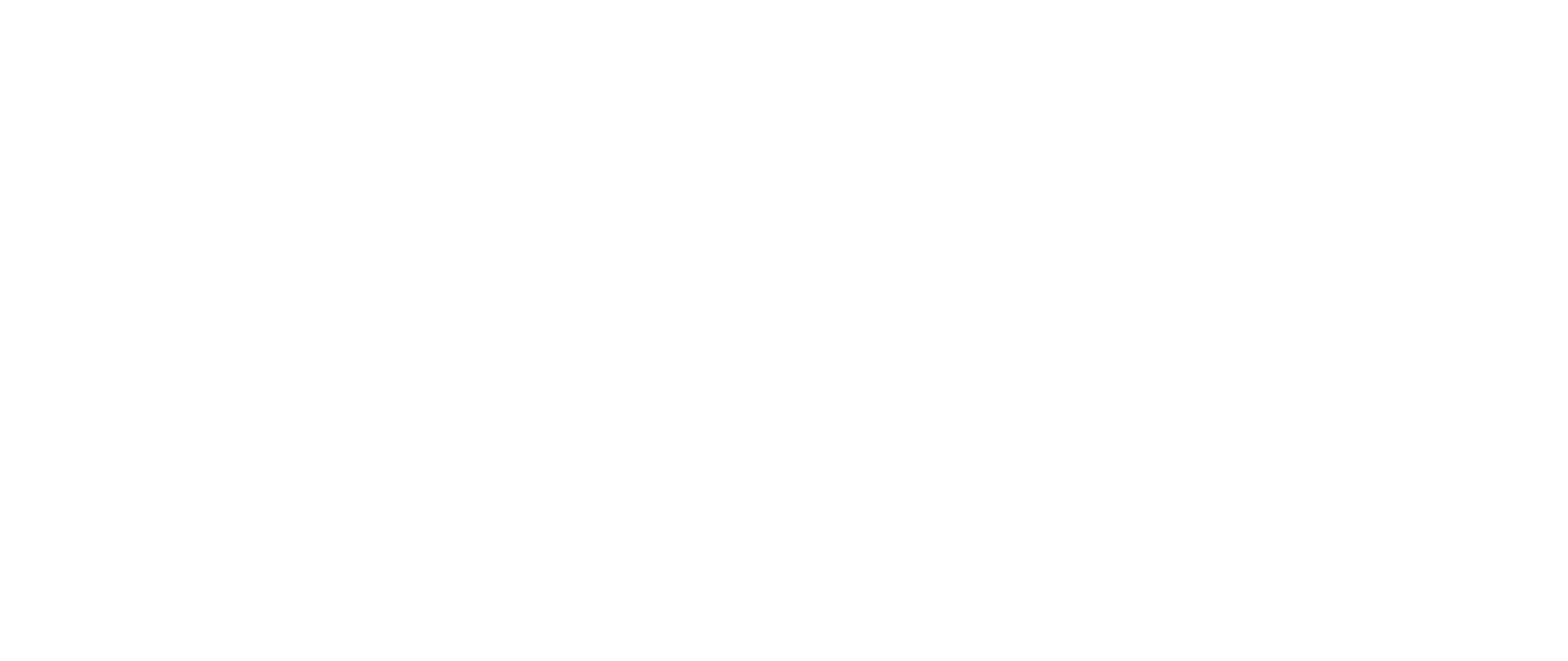 cardstream-logo-white