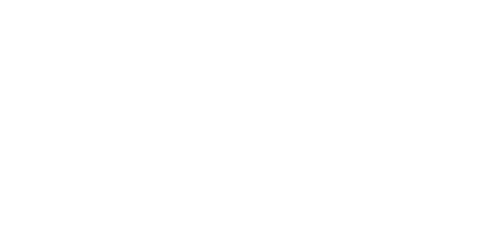 dingus_logo_white