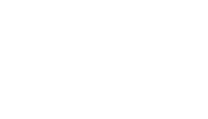 feratel_logo_white