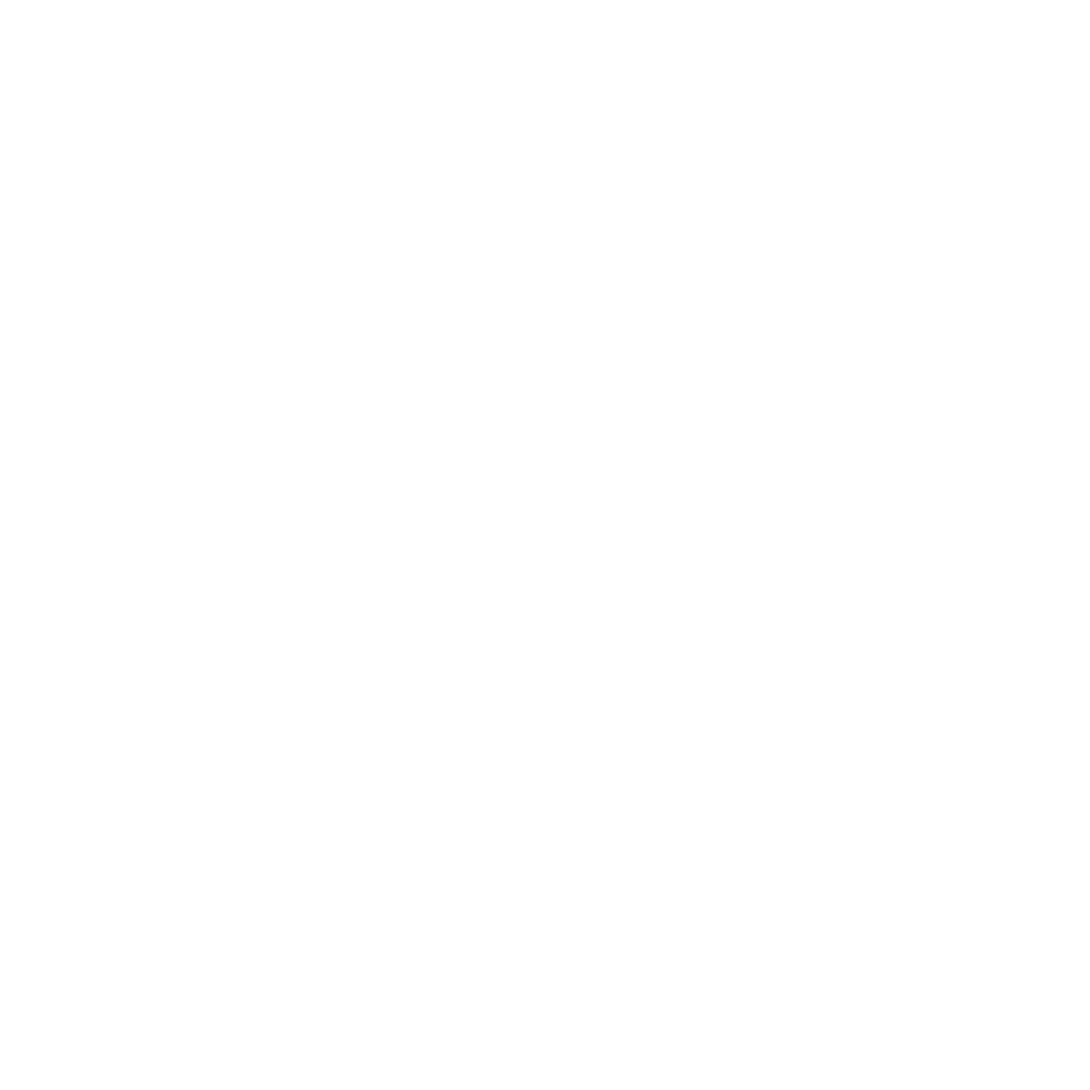 fis_logo_white