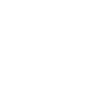 Partizan