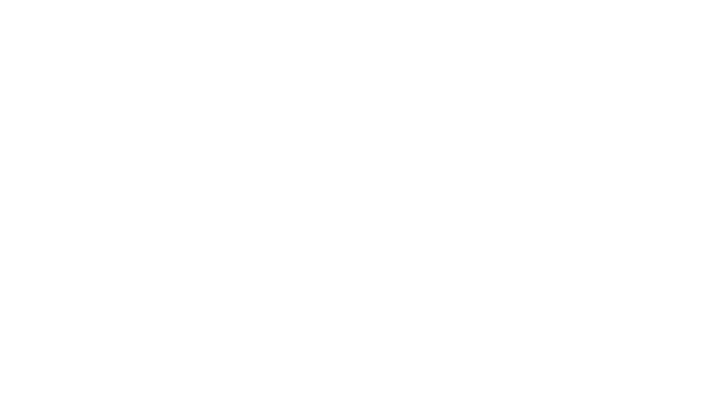 hotelcz_logo_white