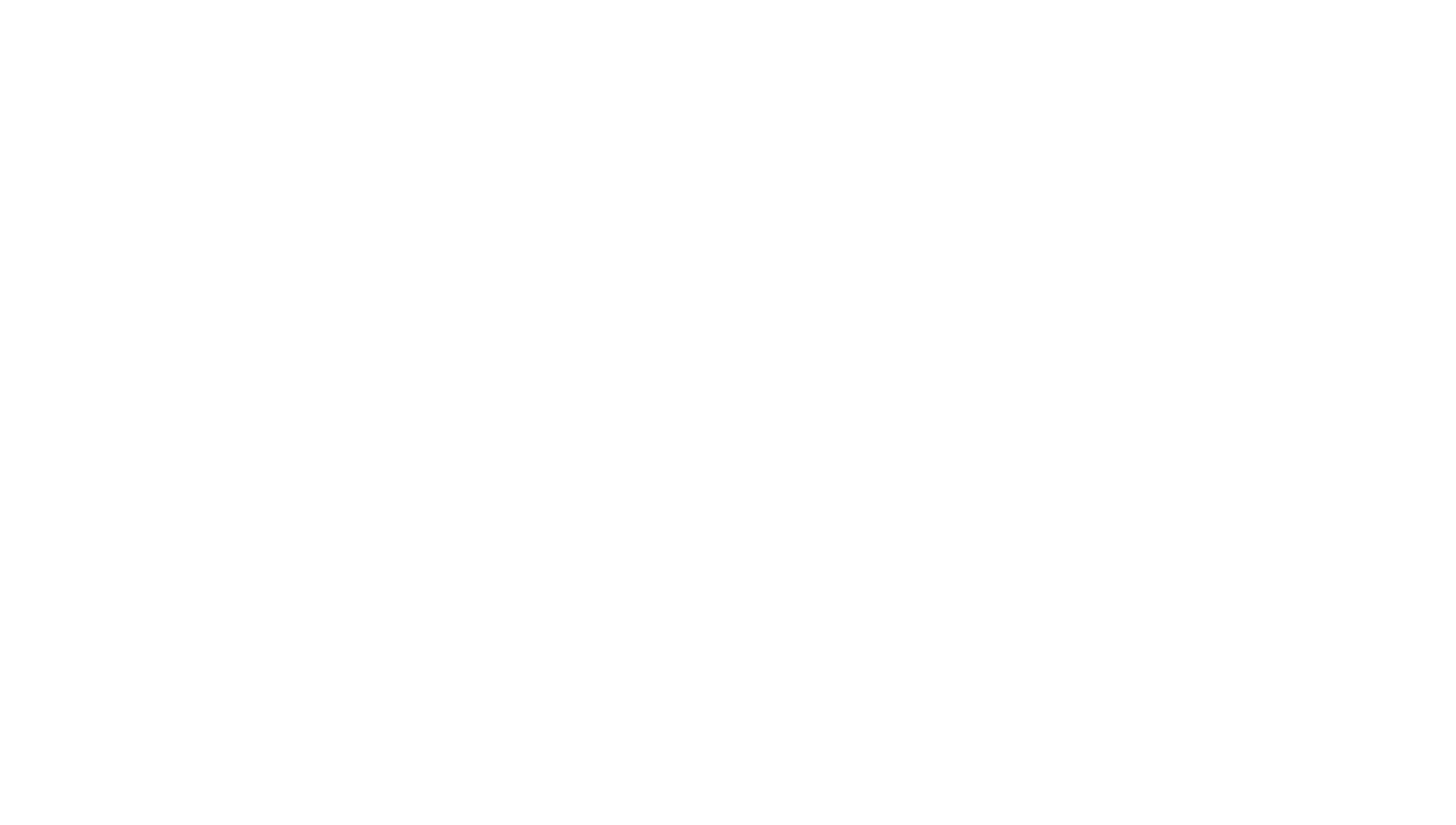 logo_zavia_ white