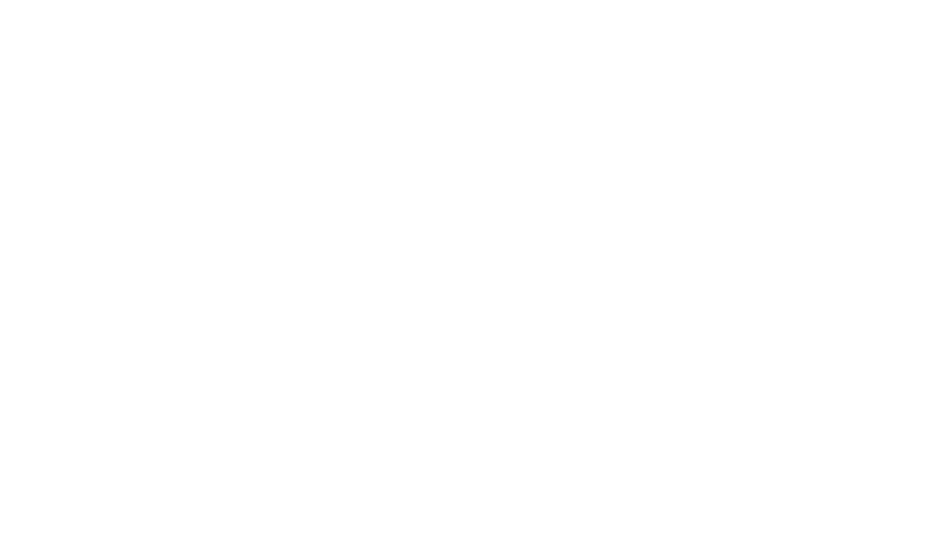 nethotels_logo_white