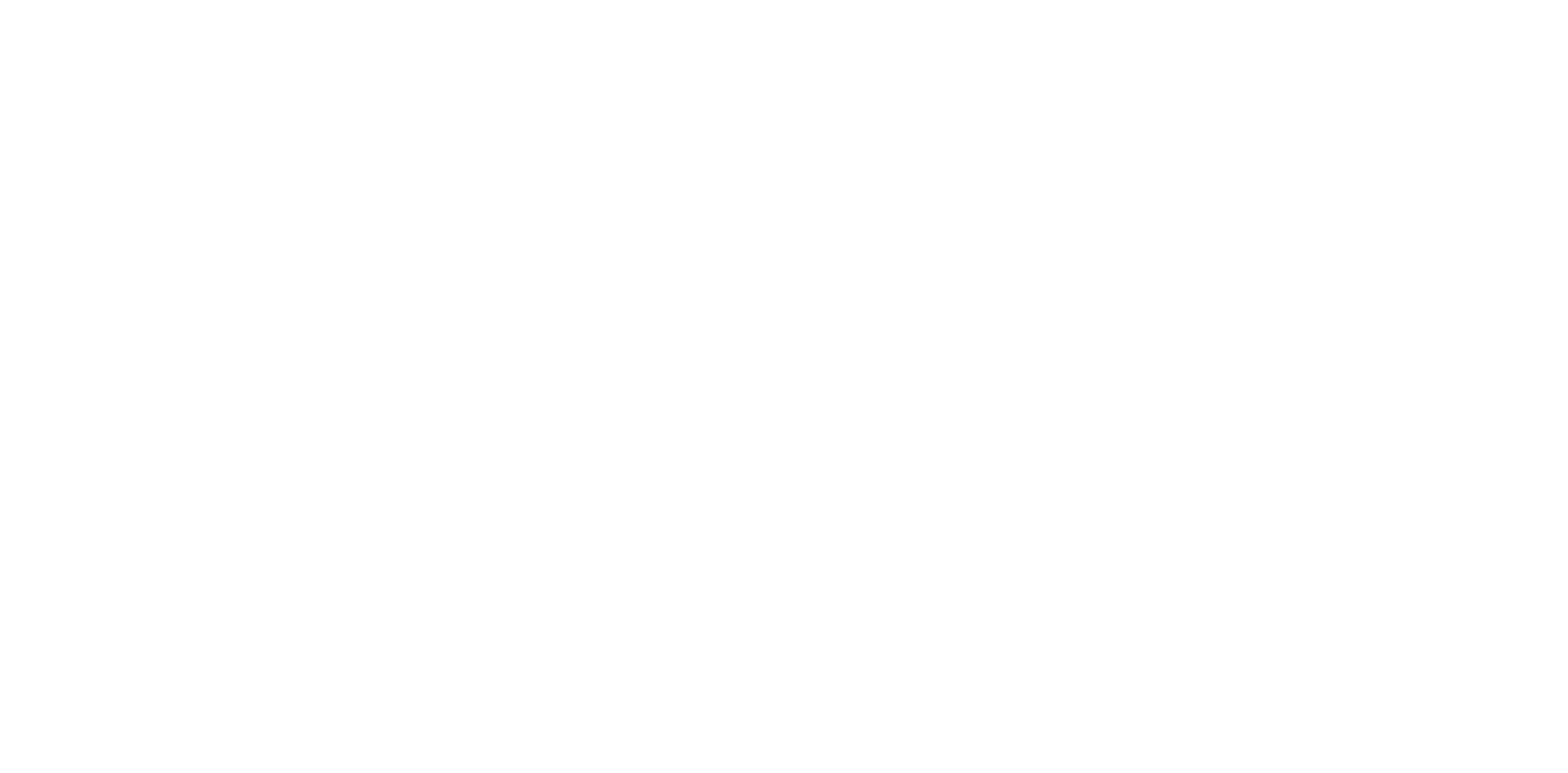 pahn_white_logo