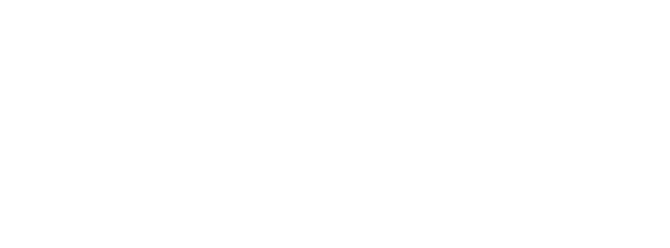 raynatourslogo