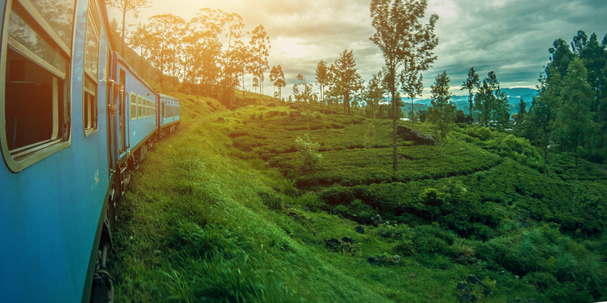 sri lankas hidden gem (1)